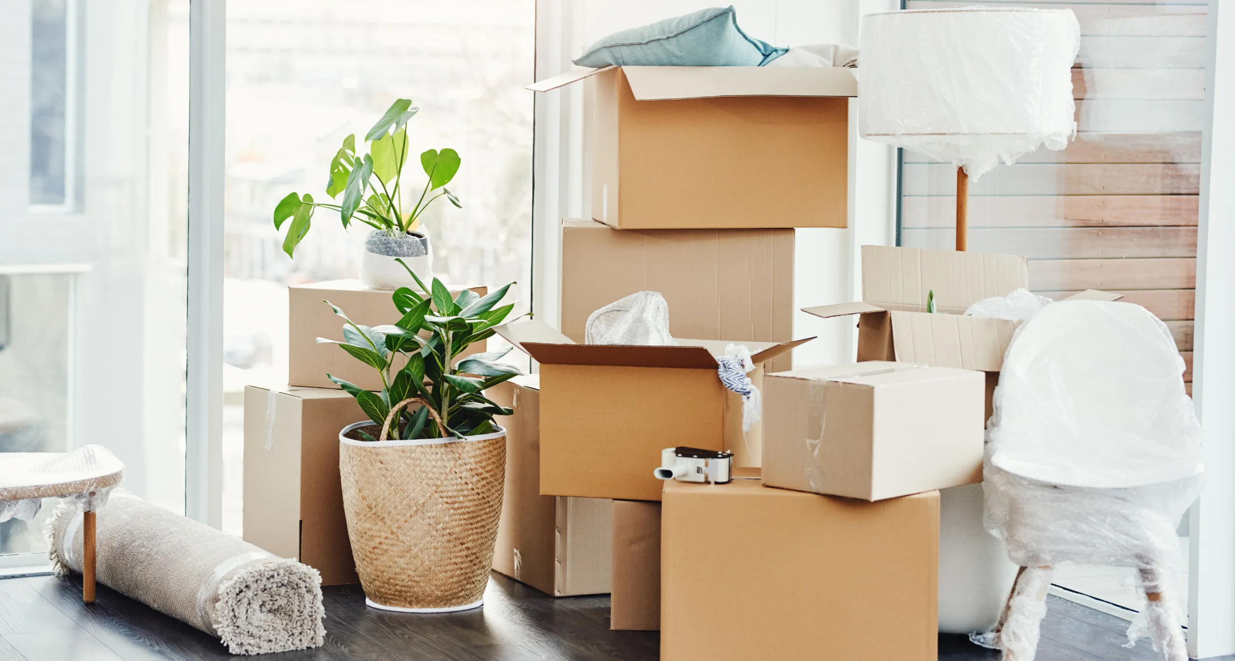 Move Out Cleaning